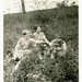Jackie Morris Photo 39