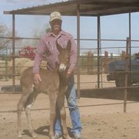 Kerry Petersen Photo 19