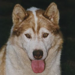 Sue Hamilton Photo 42