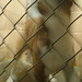 Vicky Cage Photo 9