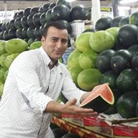 Mostafa Abid Photo 4