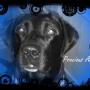 Beth Trussell Photo 4