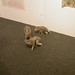 Heather Goodchild Photo 8
