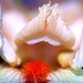 Malcolm Flowers Photo 7