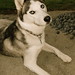 Lisa Ballard Photo 13