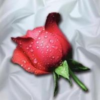 Renee Flowers Photo 40