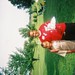 Regina Shaw Photo 41