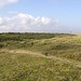 Lindsey Marsh Photo 14