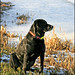 Julie Rivers Photo 13