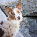 Susan Moorehead Photo 15