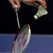Dan Lins Photo 15