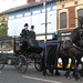 Sandy Higgins Photo 37