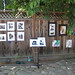 Rebecca Charlton Photo 14