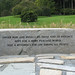 Sarah Wheaton Photo 10