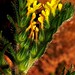 Monte Johnston Photo 13