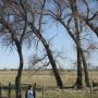 Neil Marshall Photo 5