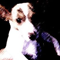 Jack Gross Photo 25