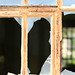 Frances Lange Photo 23