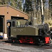 Thomas Alston Photo 15