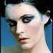 C Lee Photo 41