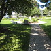 Steven Coburn Photo 41