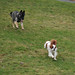 Charles Molle Photo 10