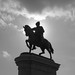 Sam Houston Photo 24
