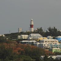 Suzanne Irvin Photo 9