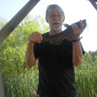 Raymond Johnston Photo 32