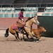 Susan Dillon Photo 18