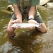 Dan Brooks Photo 25