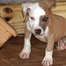 Brenda Ramsey Photo 6