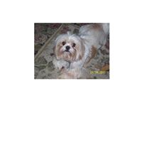Maggie Bailey Photo 41