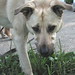 Hank Cook Photo 10