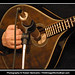 Dee Harris Photo 39
