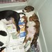 Jennifer Mcginnis Photo 9