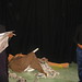 Eduardo Montes Photo 23
