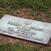 Robert War Photo 16