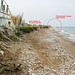 Patricia Shores Photo 18