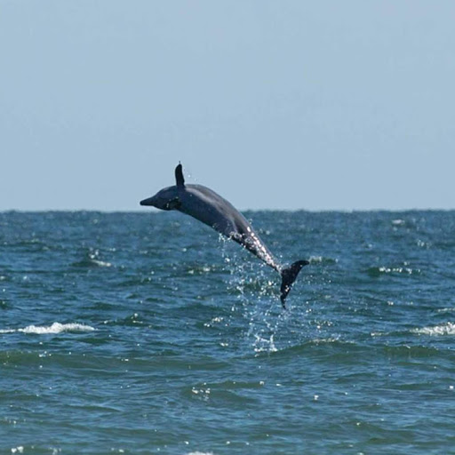 Mark Daugherty Photo 21