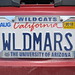 Wanda Davis Photo 31