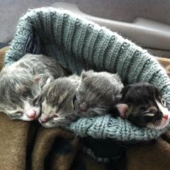 Christine Hubbard Photo 37
