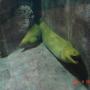Theresa Beck Photo 19