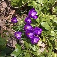 Mary Erb Photo 28