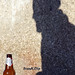 Frank Guida Photo 15