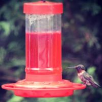 Betsy Moore Photo 28