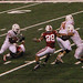 Newton Phillips Photo 15