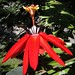 John Franz Photo 46