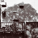 James Luckett Photo 33