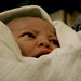 Eli Conner Photo 8